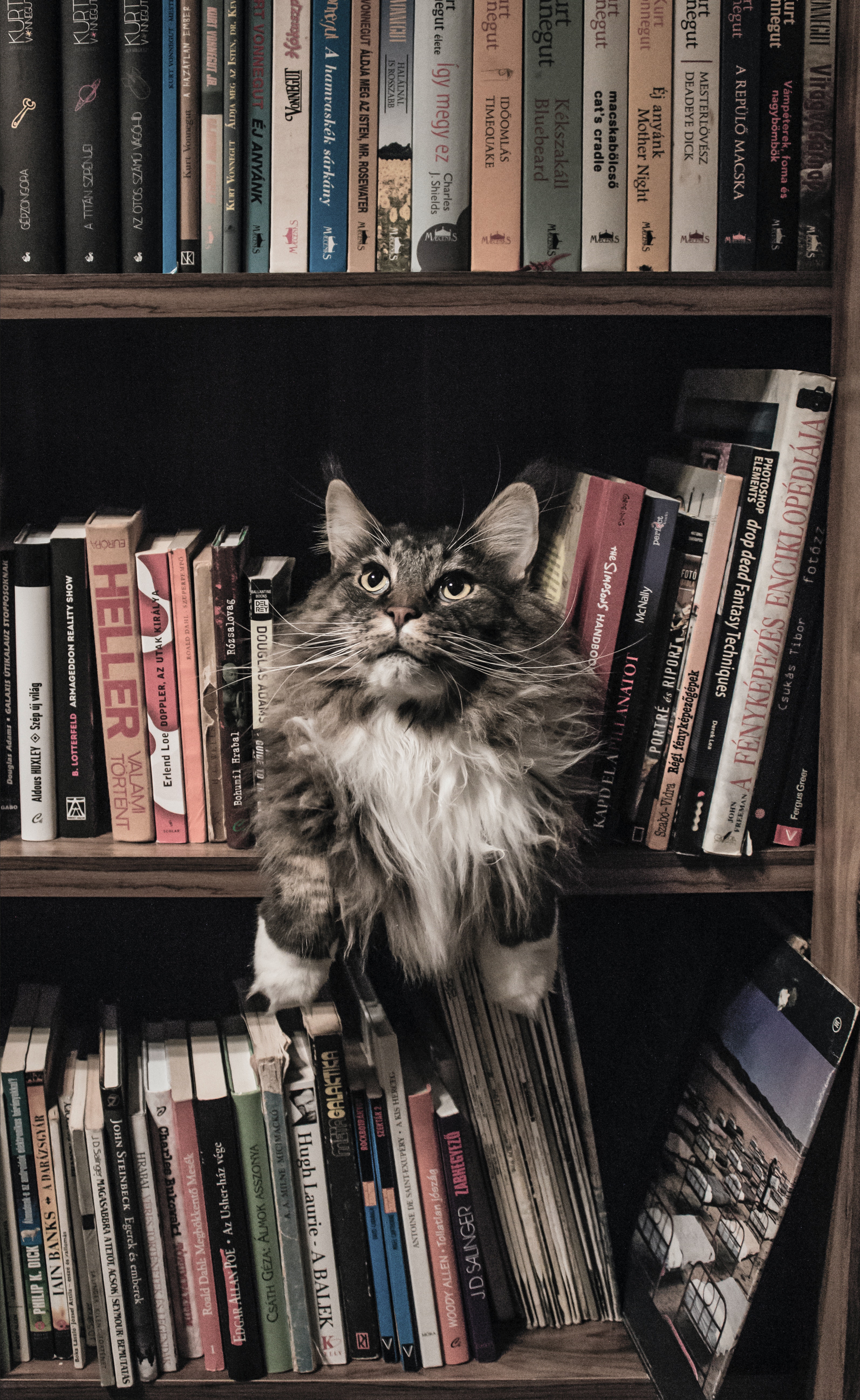 book
